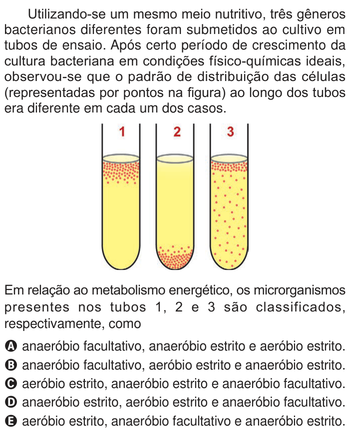 Questão 124 no caderno Azul do ENEM 2024