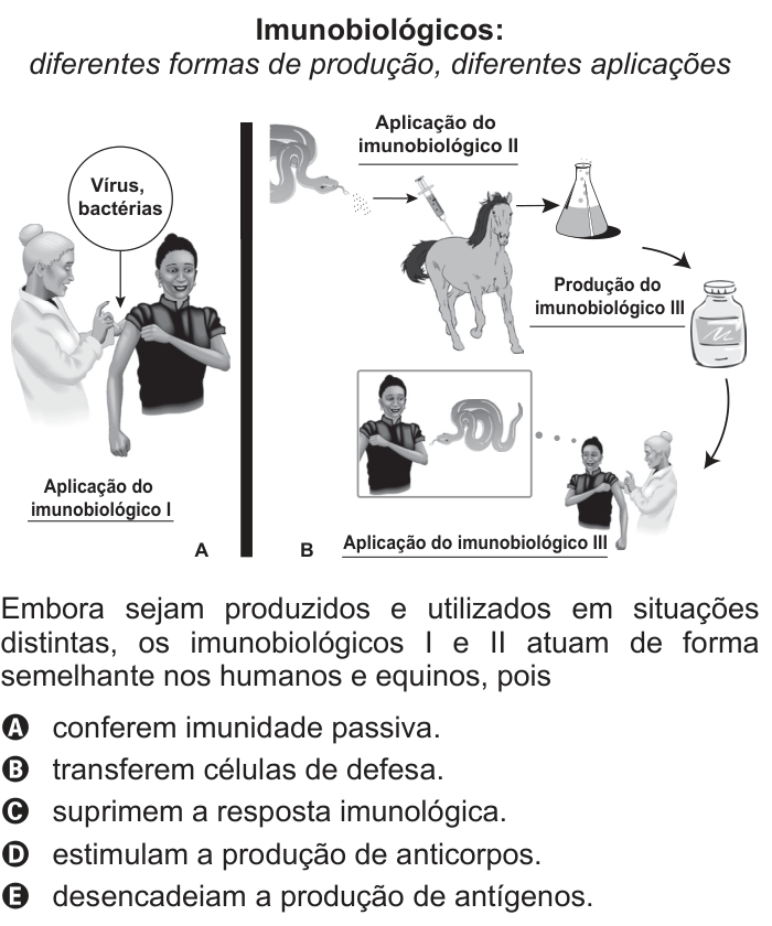 Questão 85 no caderno Azul do ENEM 2014