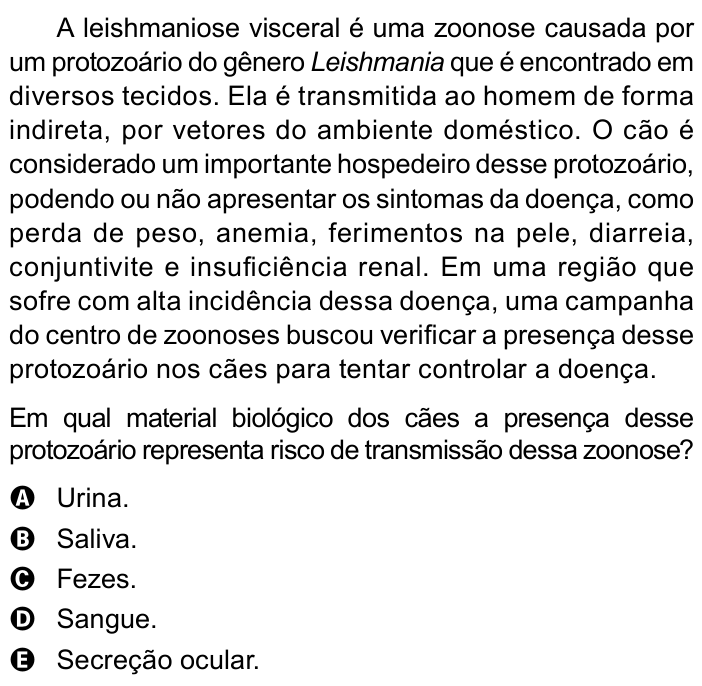 Questão 99 no caderno Azul do ENEM 2023