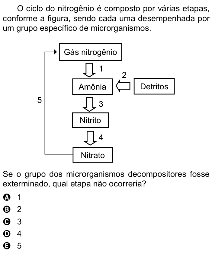 Questão 116 no caderno Azul do ENEM 2023