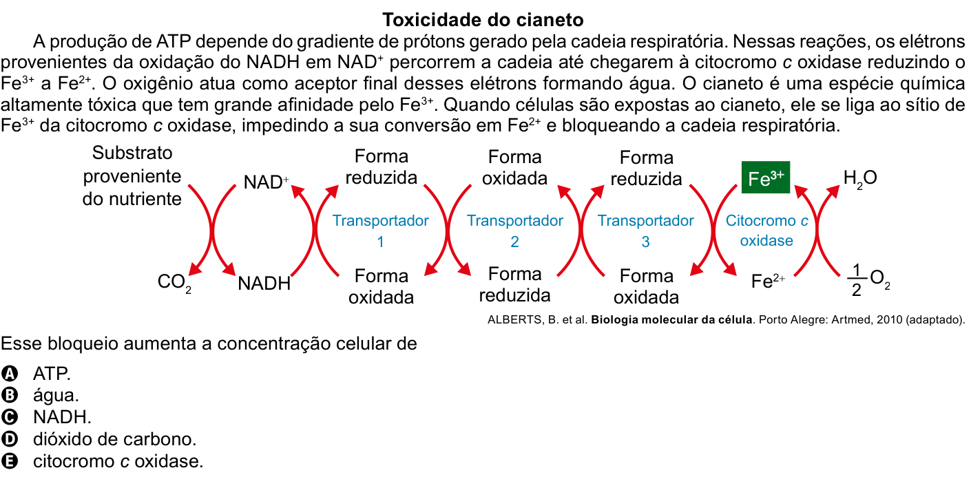Questão 127 no caderno Azul do ENEM 2023
