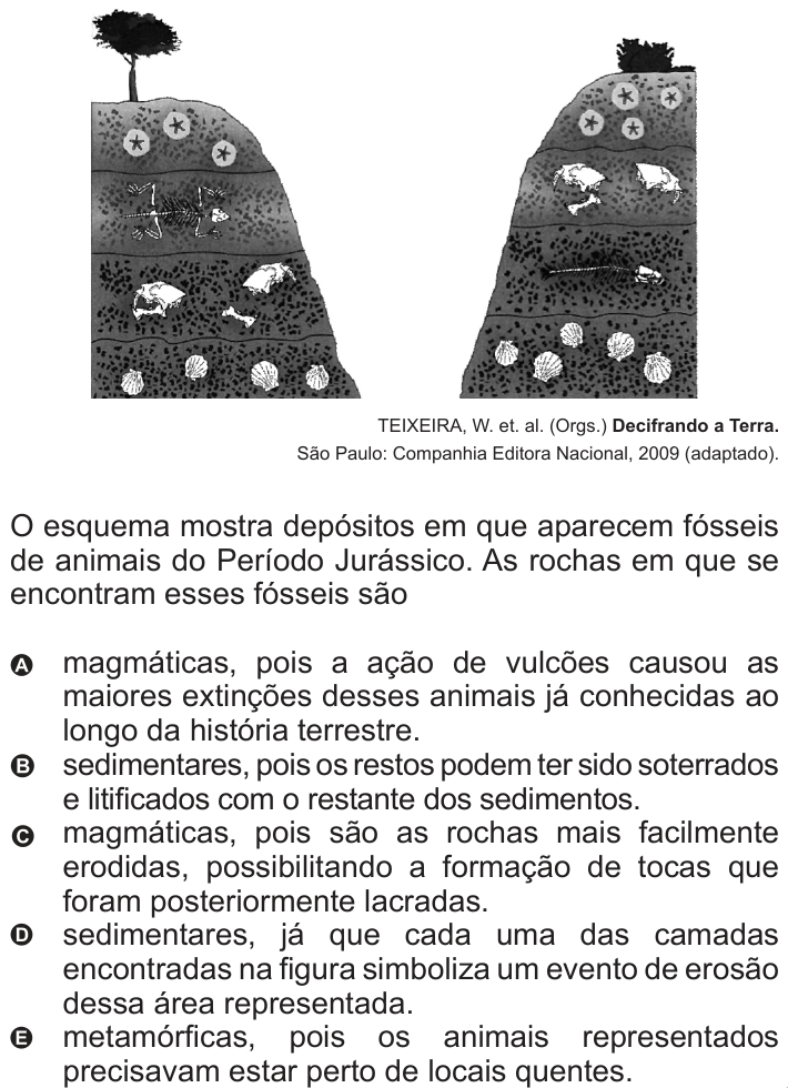 Questão 8 no caderno Azul do ENEM 2010