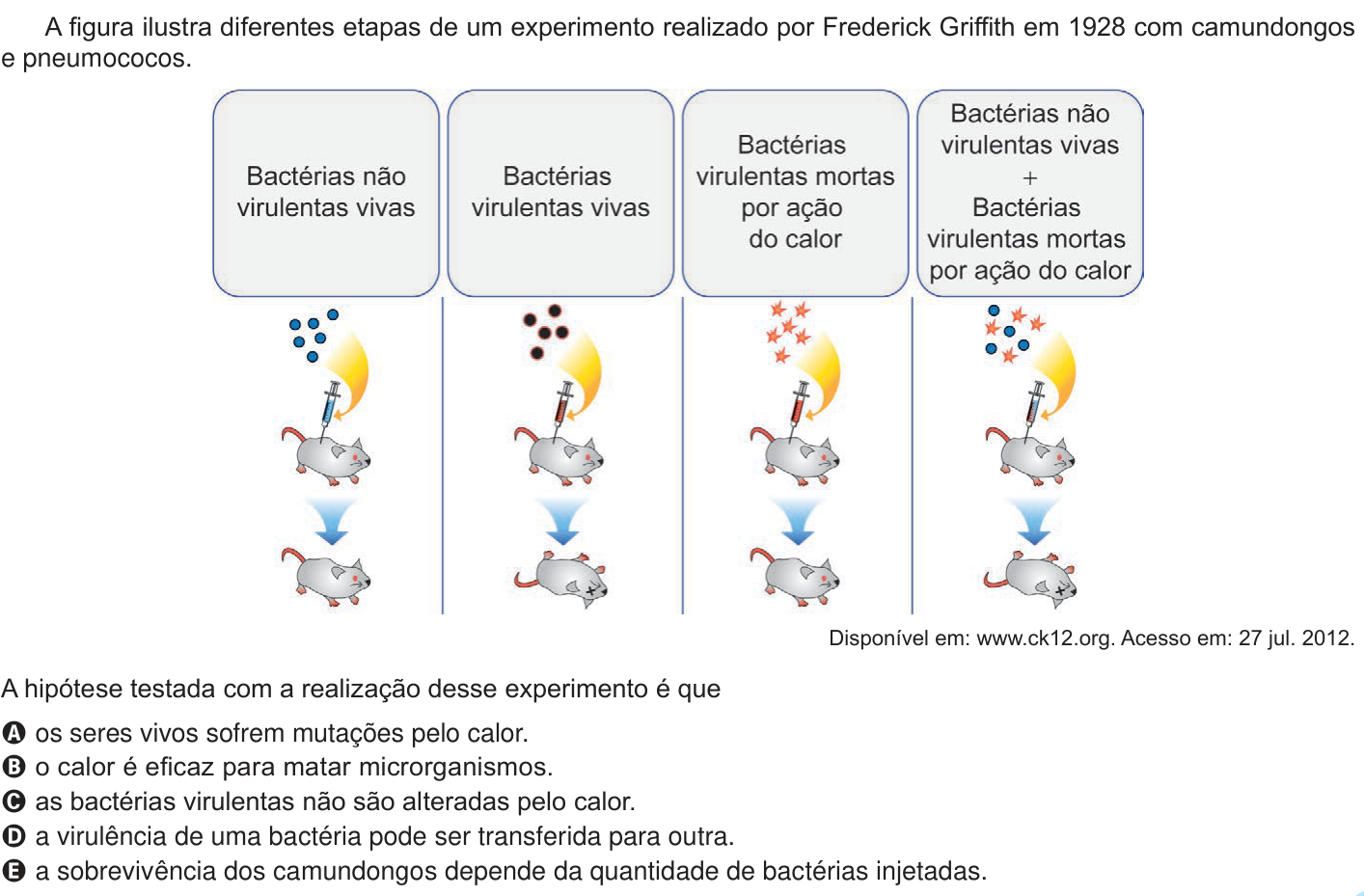Questão 93 no caderno Azul do ENEM PPL 2024