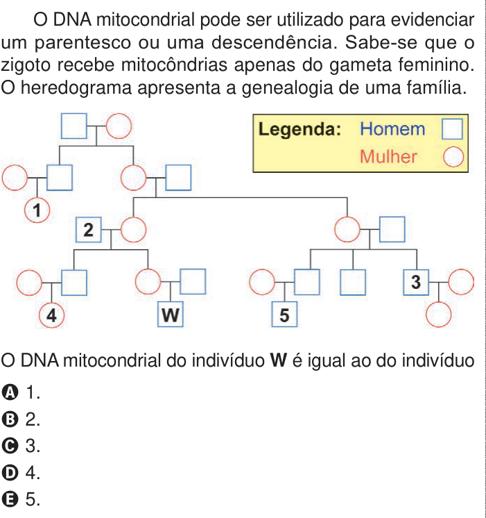 Questão 116 no caderno Azul do ENEM PPL 2024