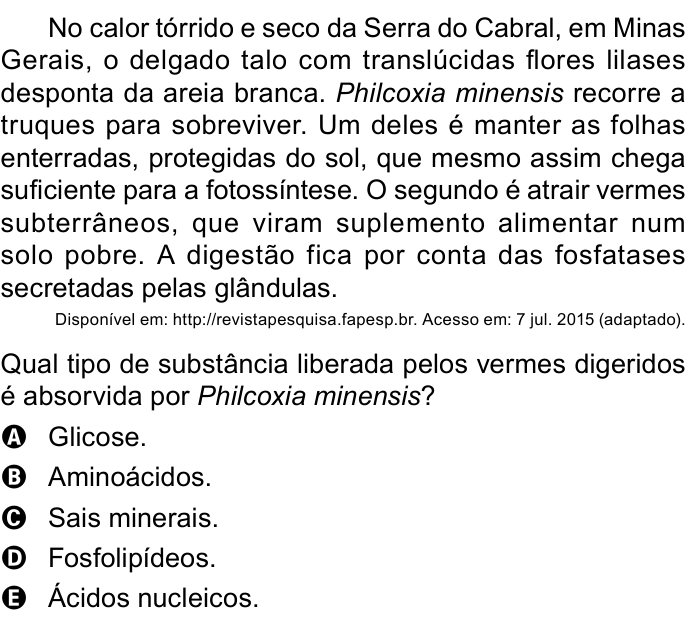 Questão 91 no caderno Azul do ENEM PPL 2023
