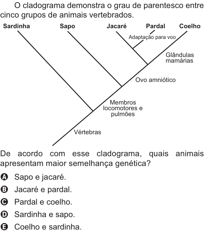 Questão 102 no caderno Azul do ENEM PPL 2021