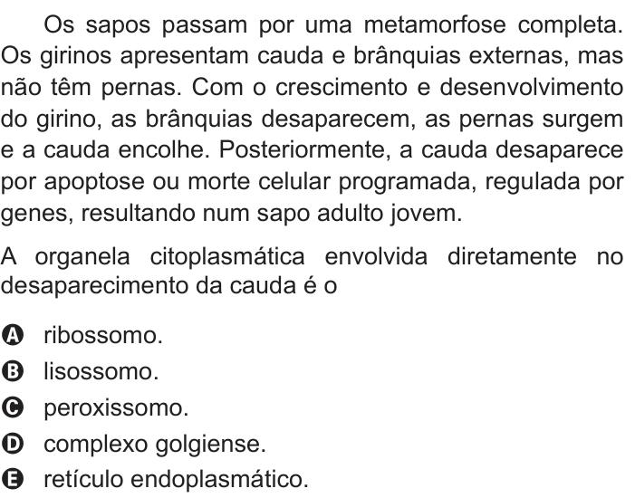 Questão 96 no caderno Azul do ENEM PPL 2017
