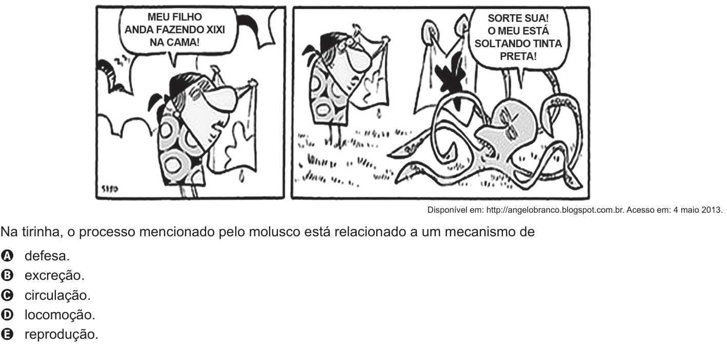 Questão 72 no caderno Branco do ENEM PPL 2016
