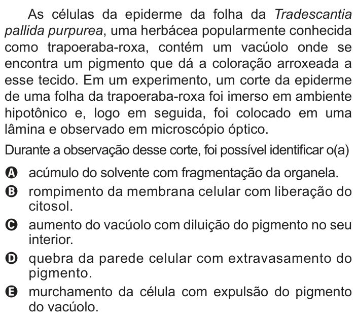 Questão 114 no caderno Azul do ENEM 2022