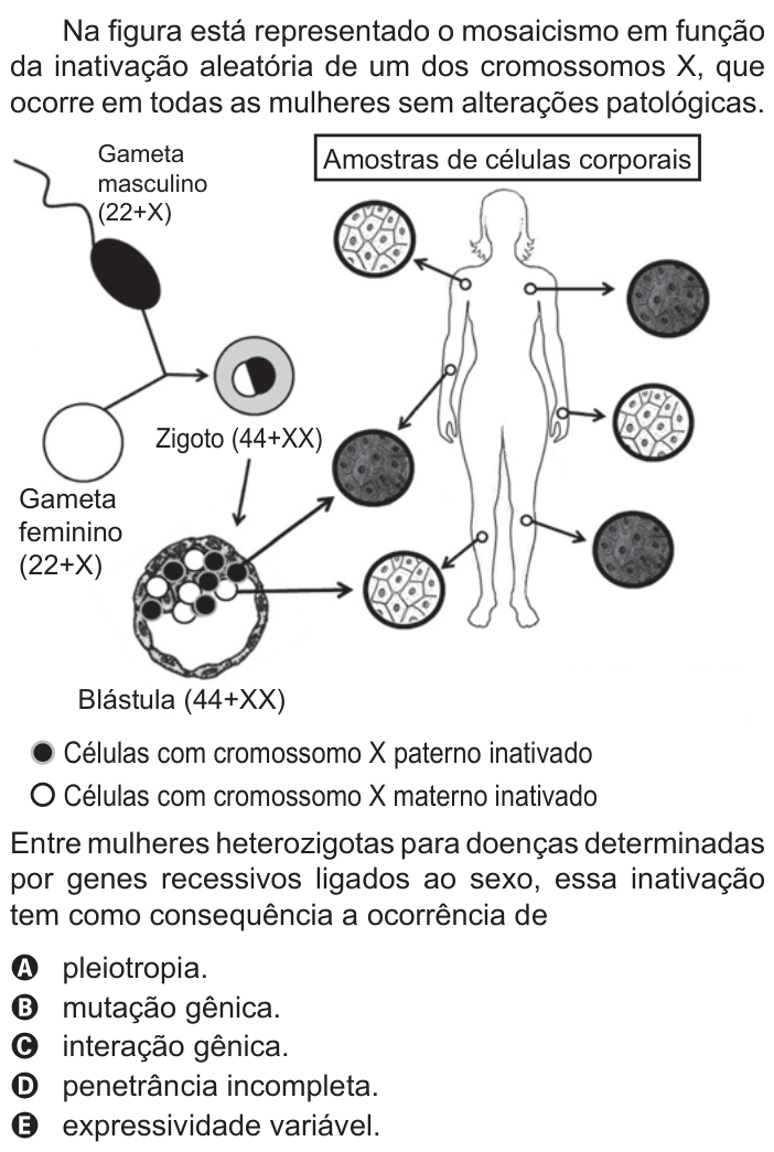 Questão 125 no caderno Azul do ENEM 2022