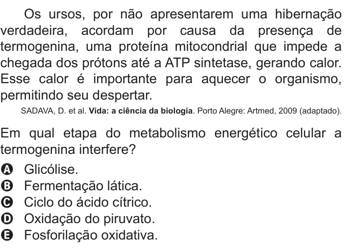 Questão 127 no caderno Azul do ENEM 2022
