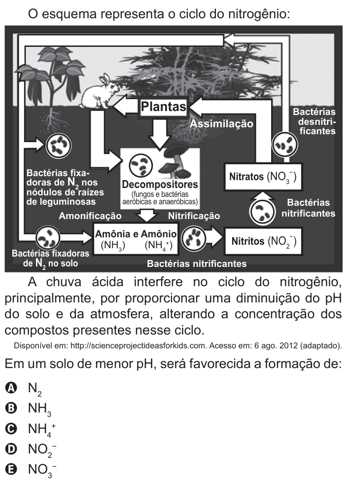 Questão 129 no caderno Azul do ENEM 2022