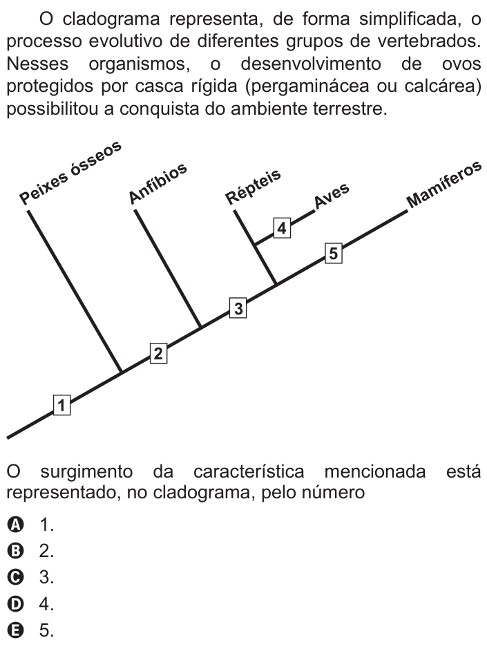 Questão 48 no caderno Branco do ENEM PPL 2015