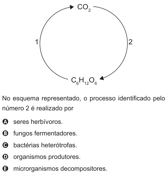Questão 90 no caderno Branco do ENEM PPL 2015