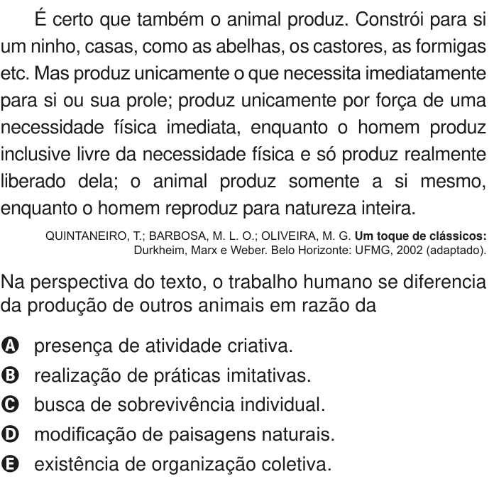 Questão 82 no caderno Azul do ENEM PPL 2020