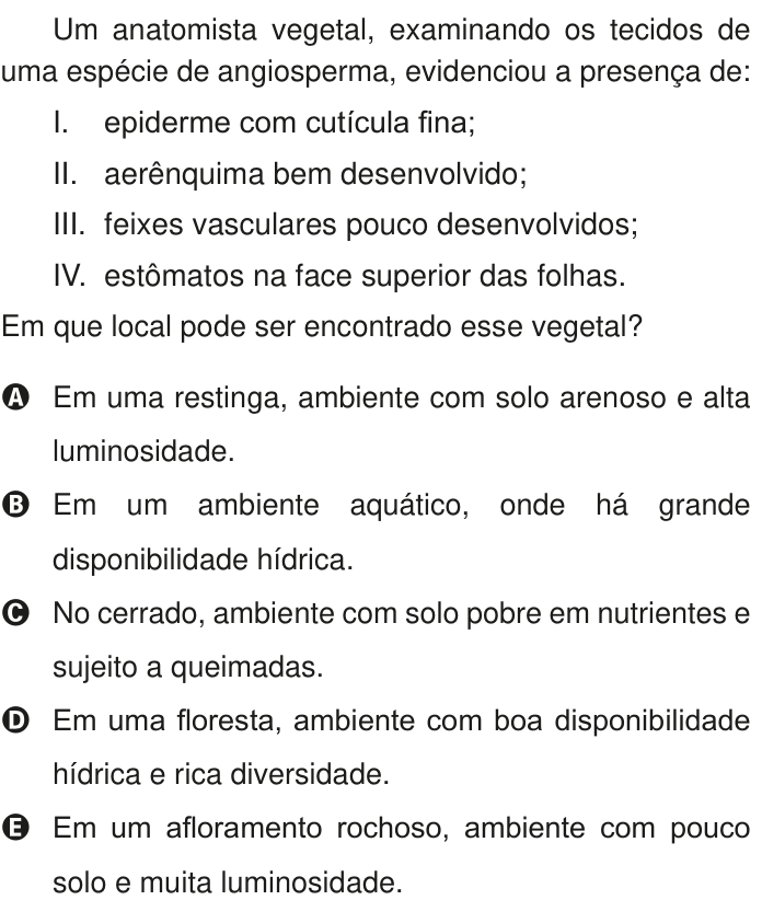 Questão 119 no caderno Azul do ENEM PPL 2020