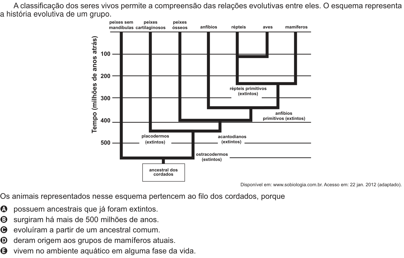 Questão 49 no caderno Branco do ENEM PPL 2014