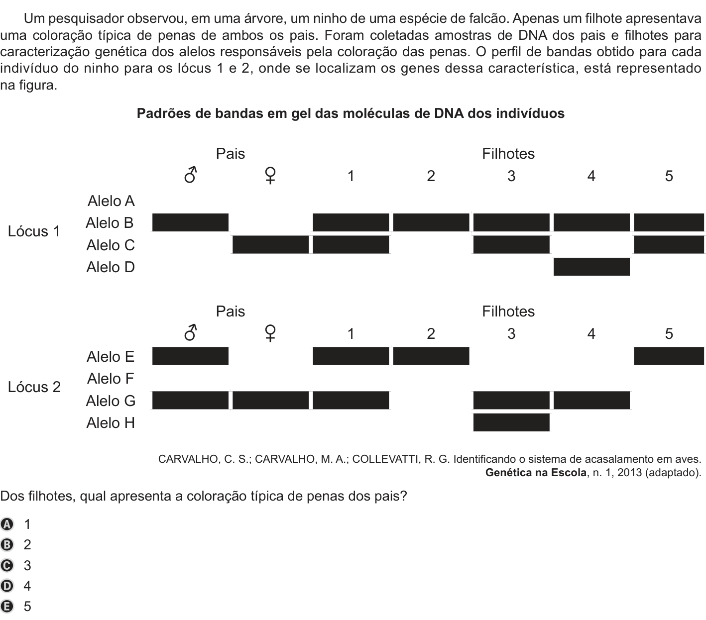 Questão 93 no caderno Azul do ENEM PPL 2019