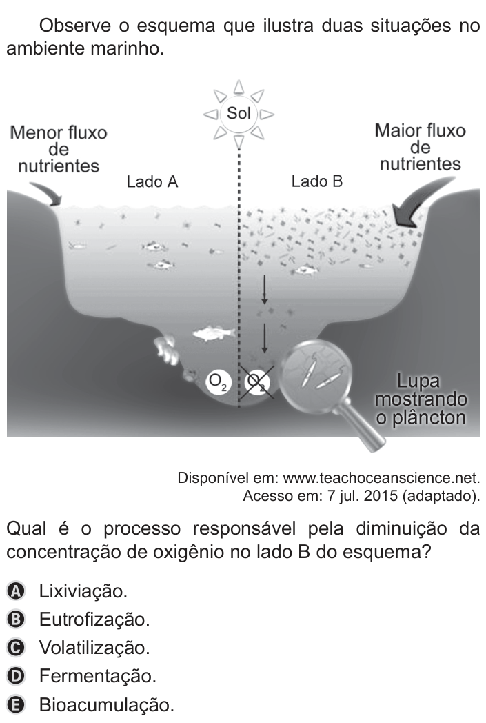 Questão 111 no caderno Azul do ENEM PPL 2019