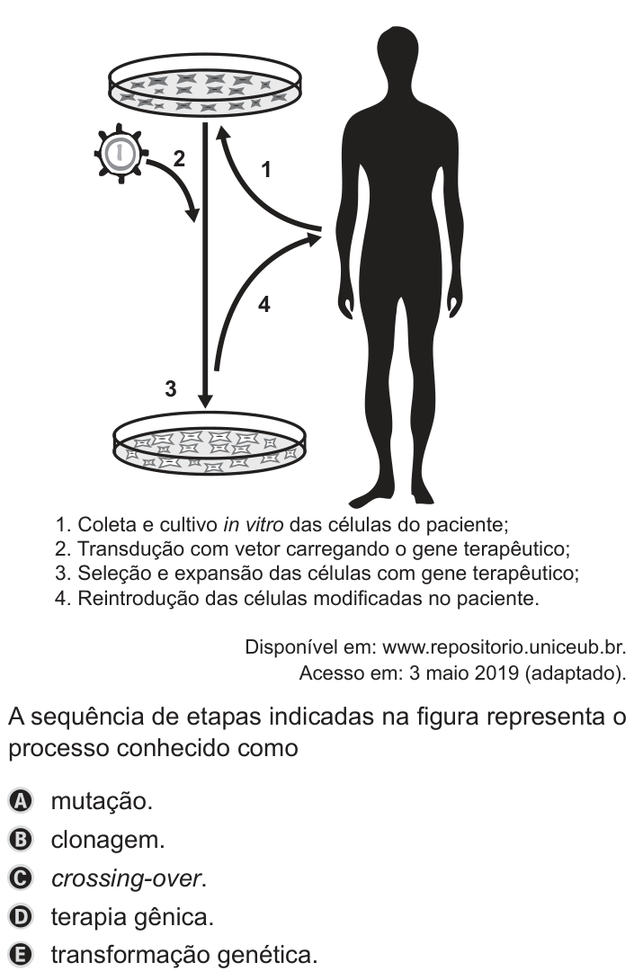 Questão 118 no caderno Azul do ENEM PPL 2019