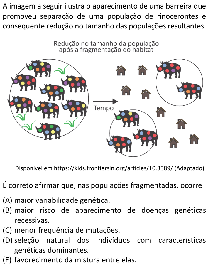 Questão 30 no caderno V1 da FUVEST 2025