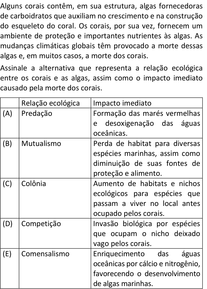 Questão 31 no caderno V1 da FUVEST 2025