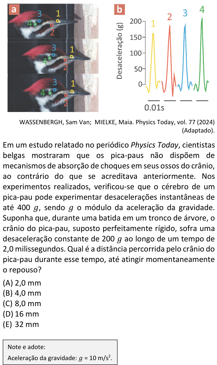 Questão 33 no caderno V1 da FUVEST 2025