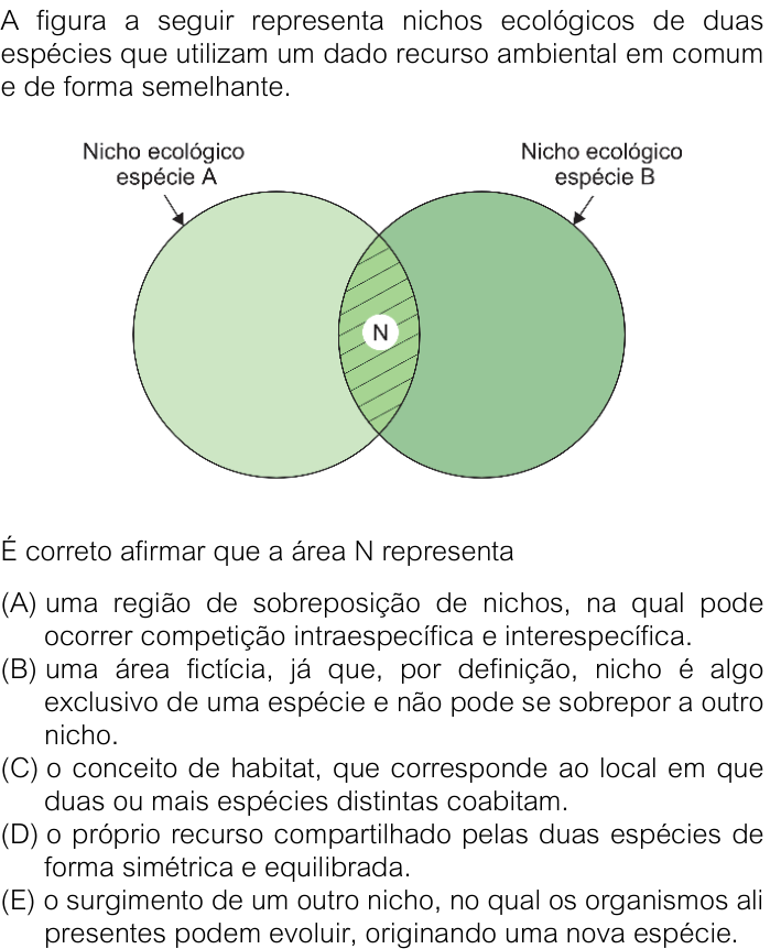 Questão 85 no caderno V1 da FUVEST 2026