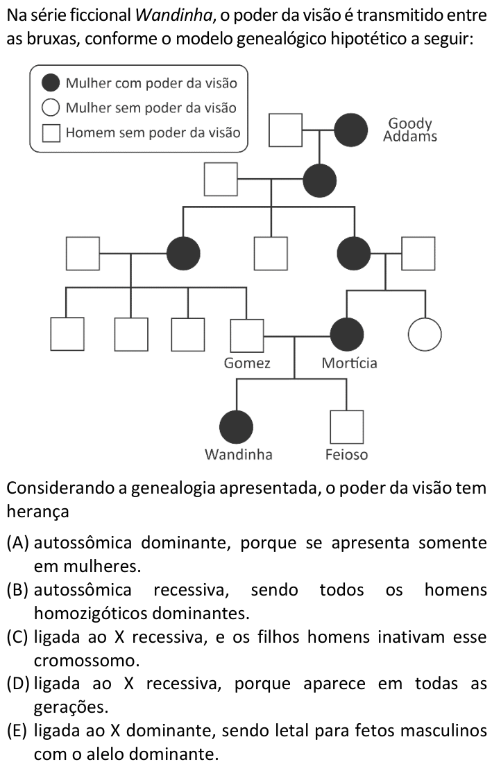 Questão 14 no caderno  da FUVEST 2024