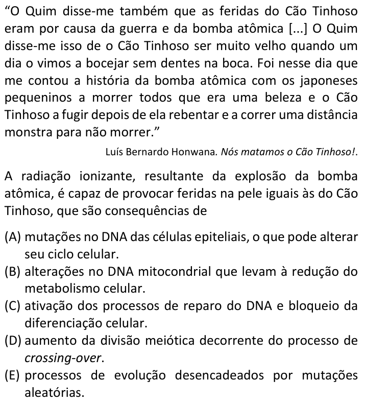 Questão 17 no caderno  da FUVEST 2024