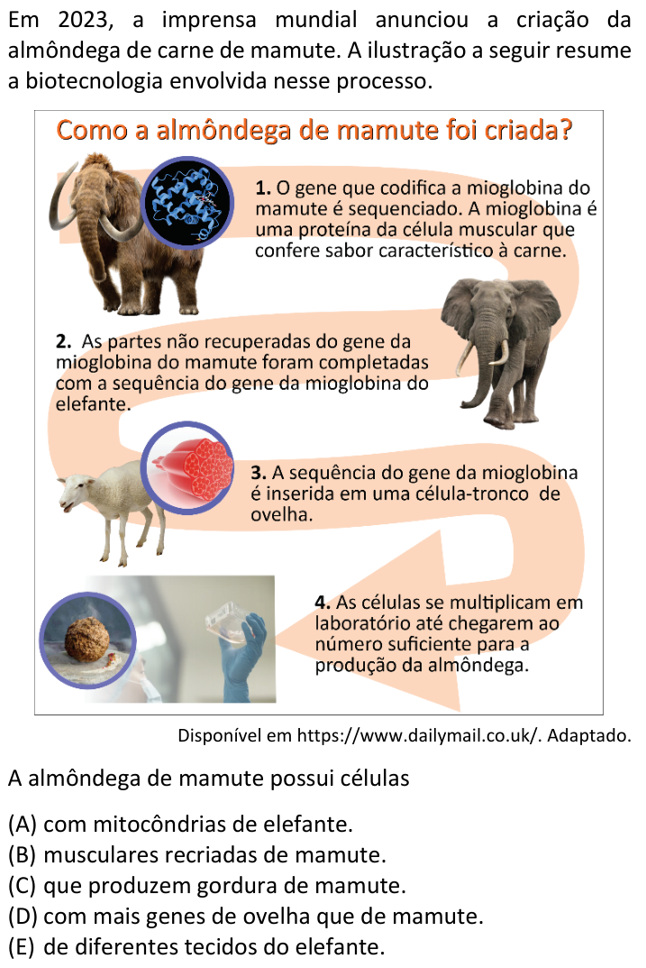 Questão 18 no caderno  da FUVEST 2024