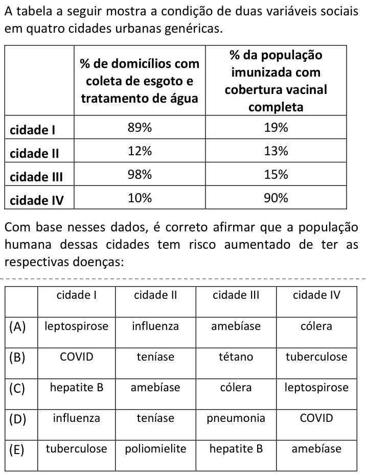 Questão 32 no caderno  da FUVEST 2024