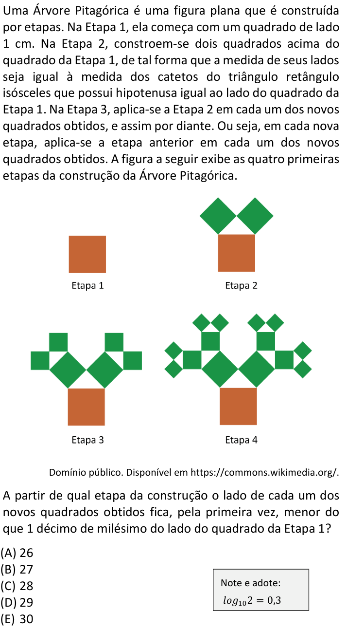 Questão 63 no caderno  da FUVEST 2024