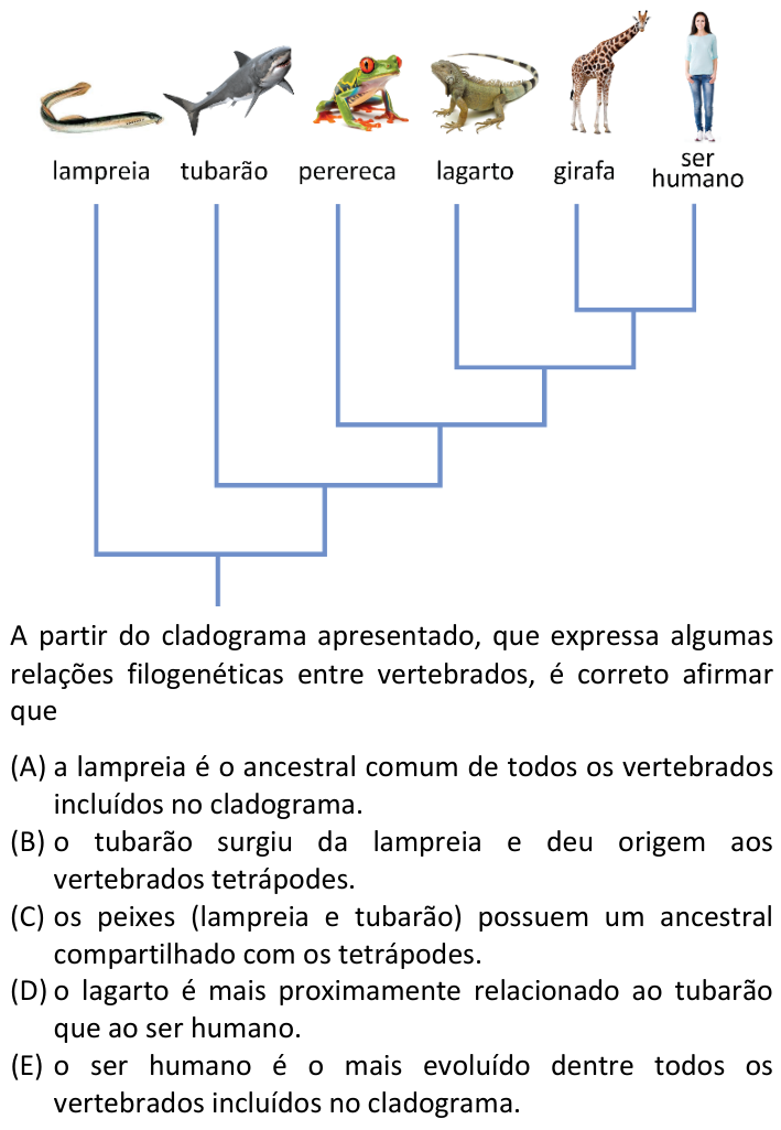 Questão 69 no caderno  da FUVEST 2024