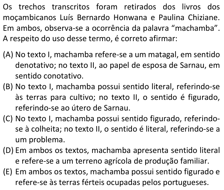 Questão 82 no caderno  da FUVEST 2024