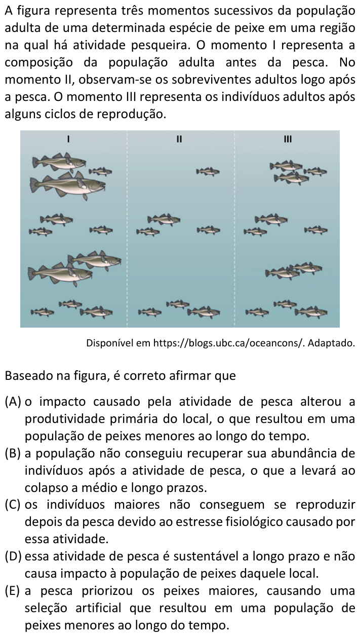 Questão 15 no caderno  da FUVEST 2023