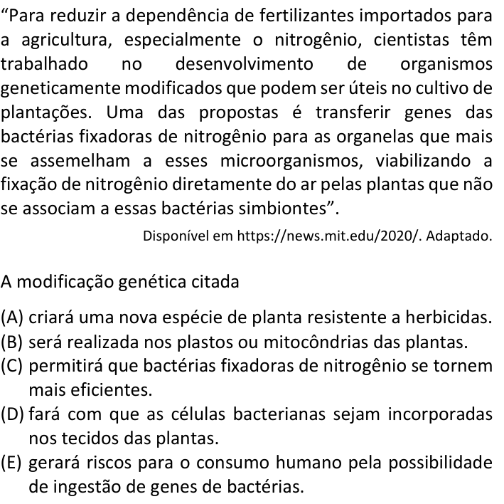 Questão 20 no caderno  da FUVEST 2023