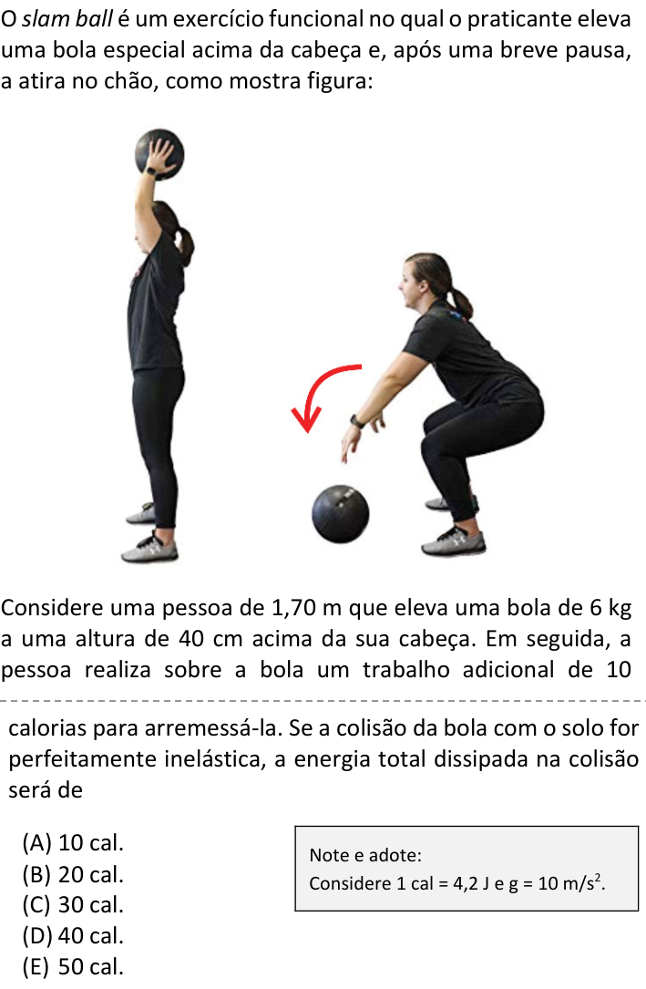 Questão 79 no caderno  da FUVEST 2023