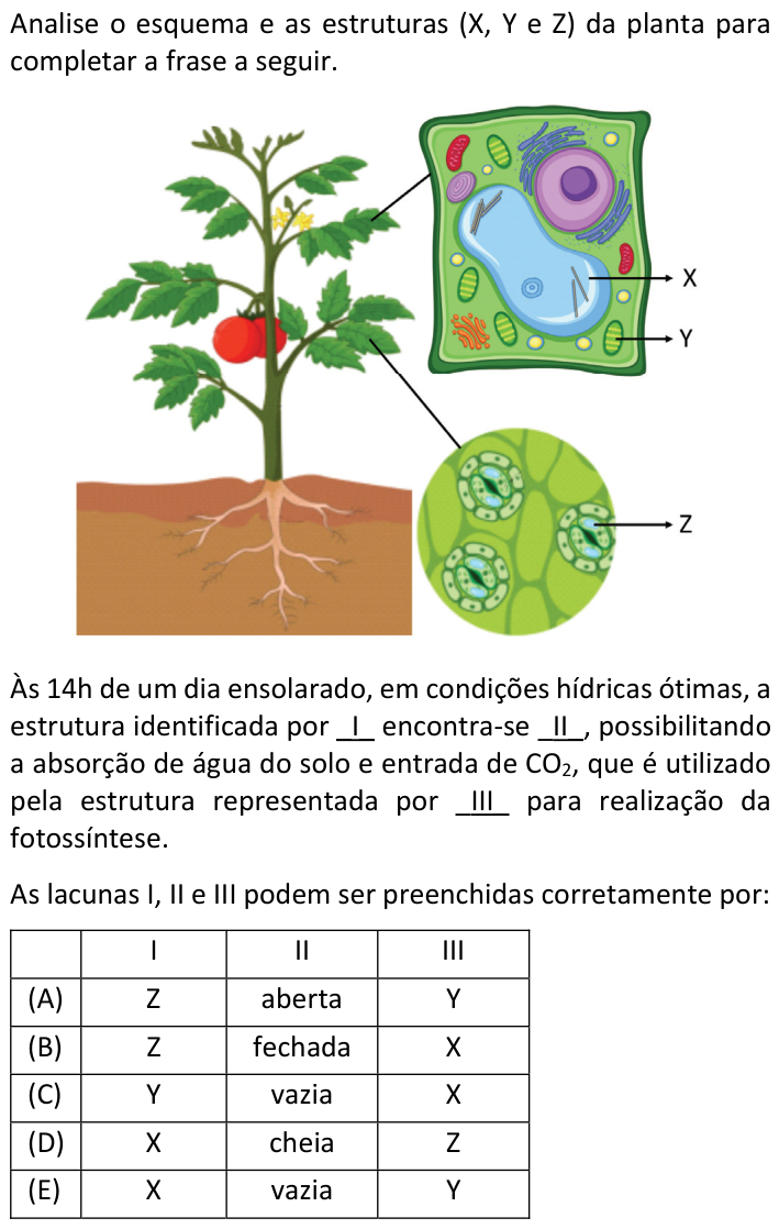 Questão 12 no caderno  da FUVEST 2022