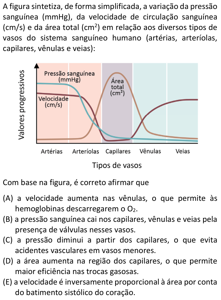 Questão 16 no caderno  da FUVEST 2022