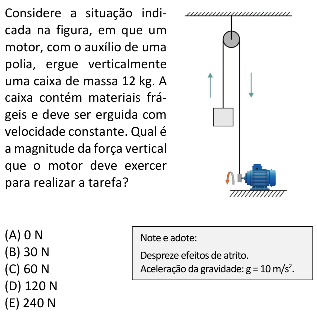 Questão 53 no caderno  da FUVEST 2022