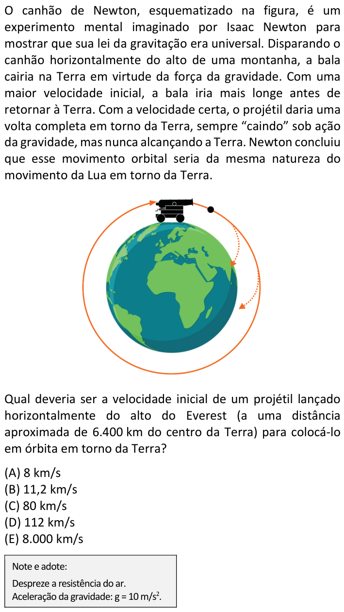 Questão 56 no caderno  da FUVEST 2022