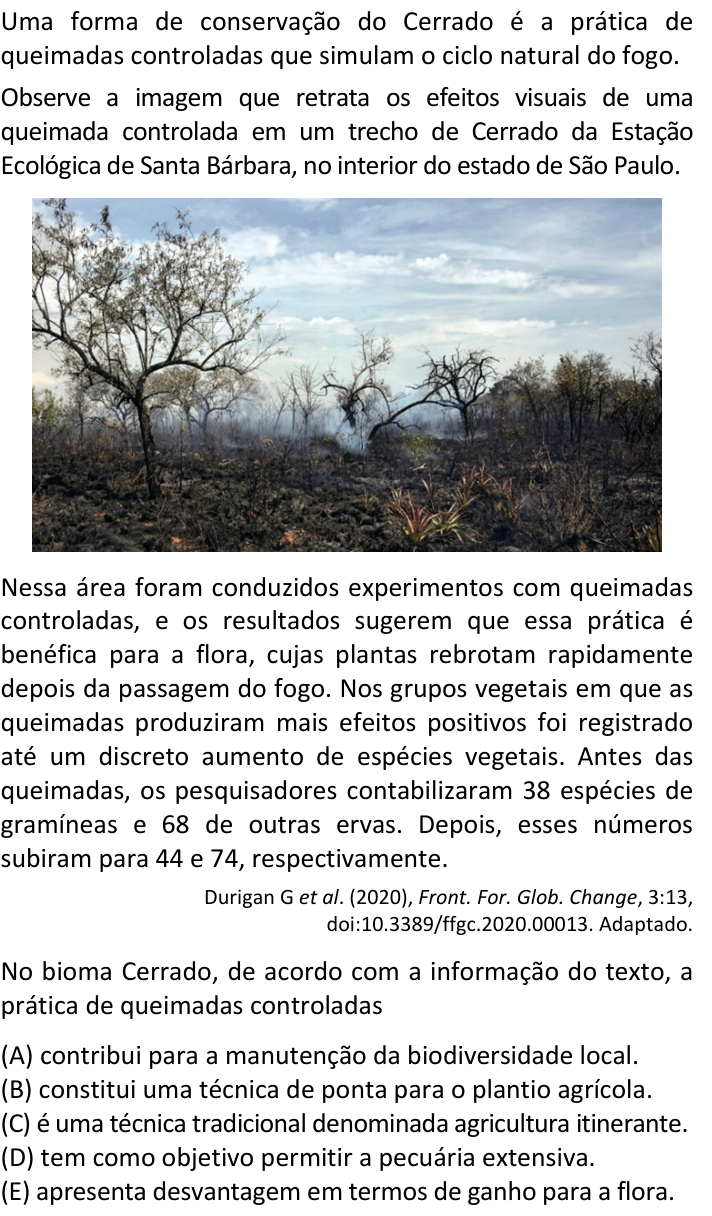Questão 63 no caderno  da FUVEST 2022