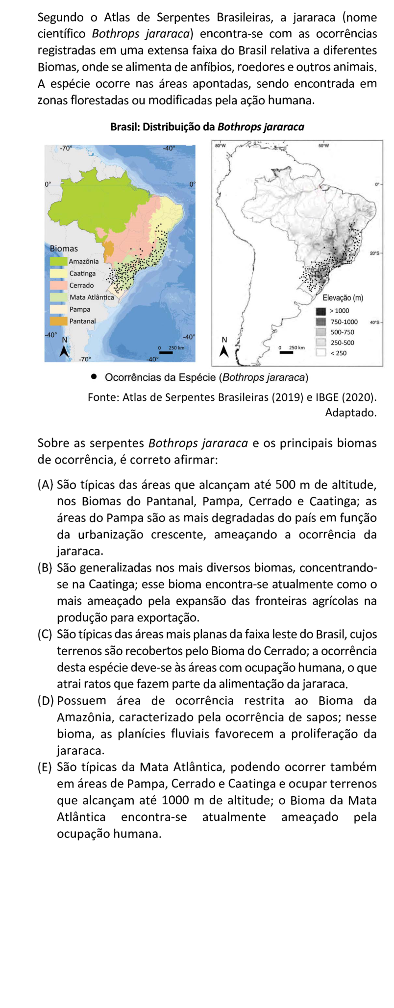 Questão 23 no caderno  da FUVEST 2021