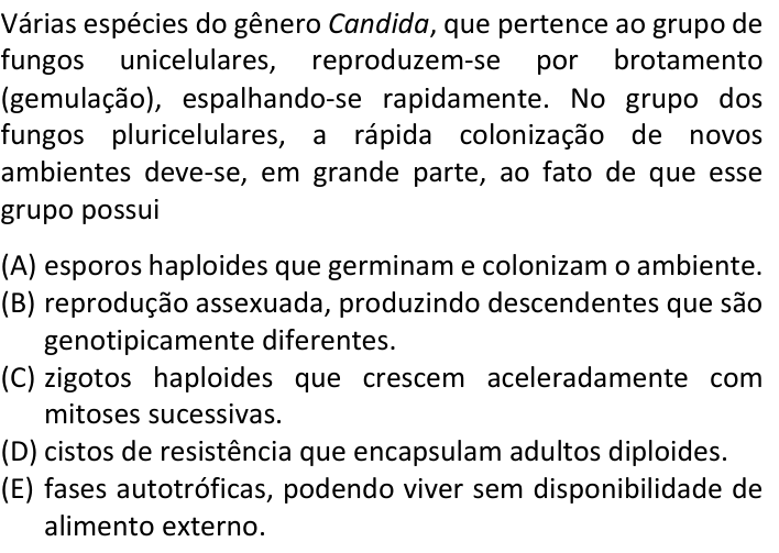 Questão 49 no caderno  da FUVEST 2020