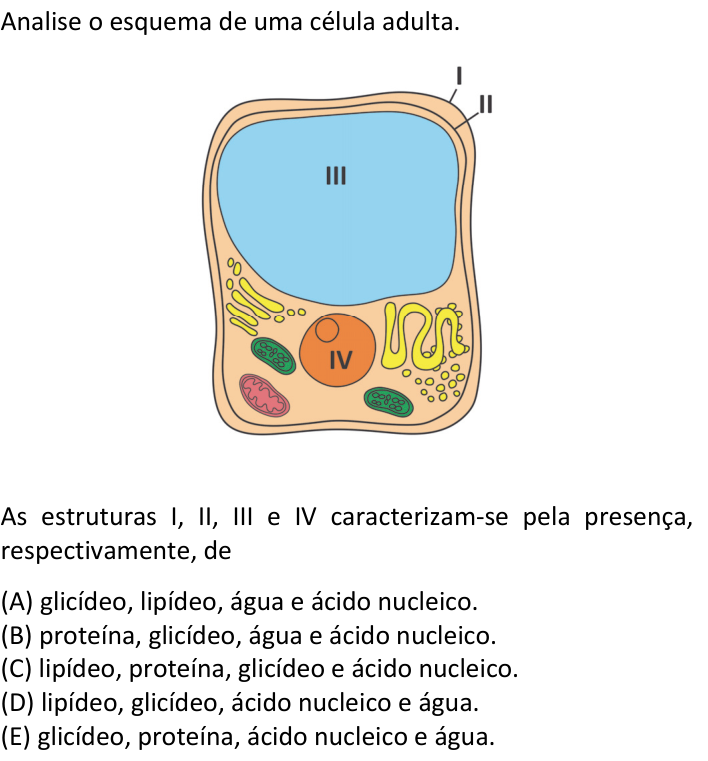 Questão 52 no caderno  da FUVEST 2020