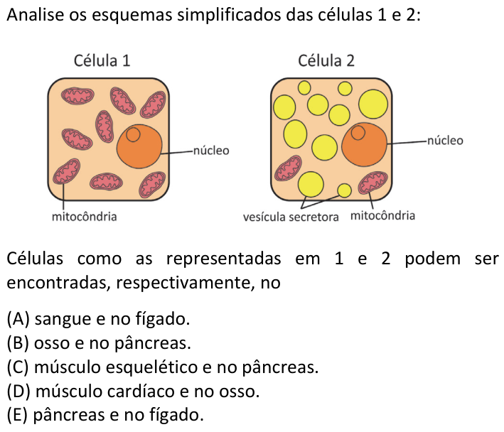 Questão 54 no caderno  da FUVEST 2020