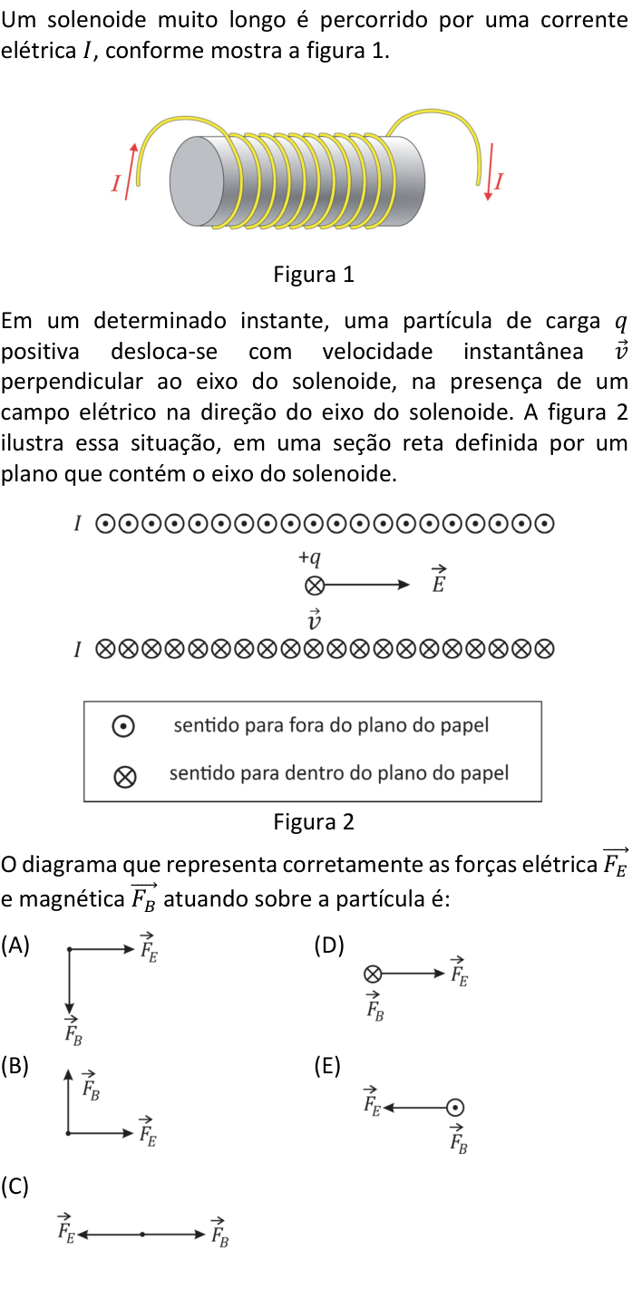 Questão 77 no caderno  da FUVEST 2020