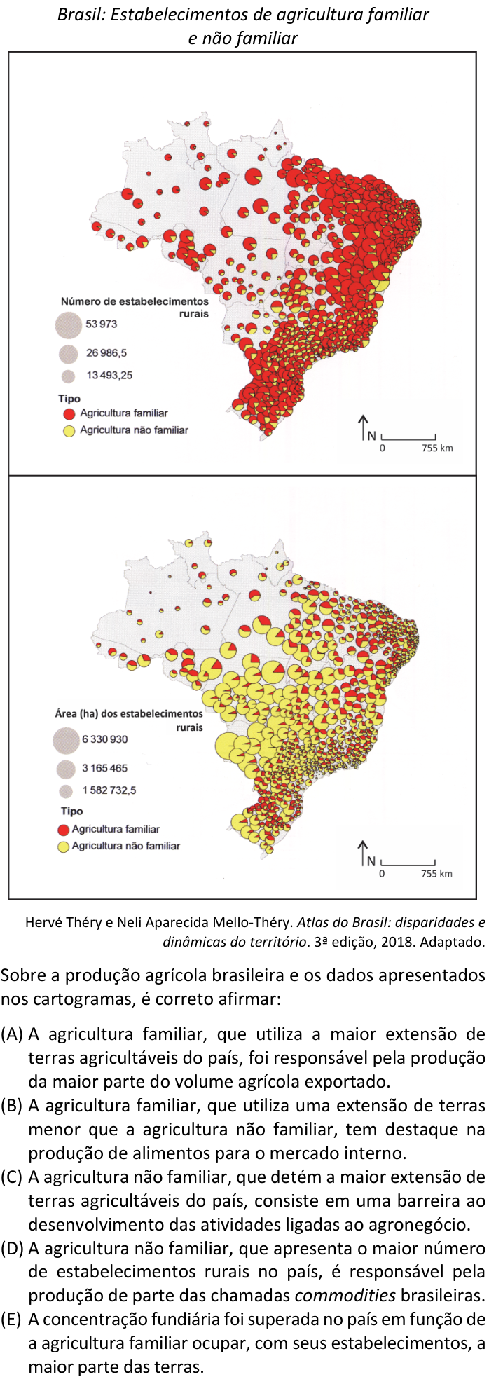 Questão 84 no caderno  da FUVEST 2020