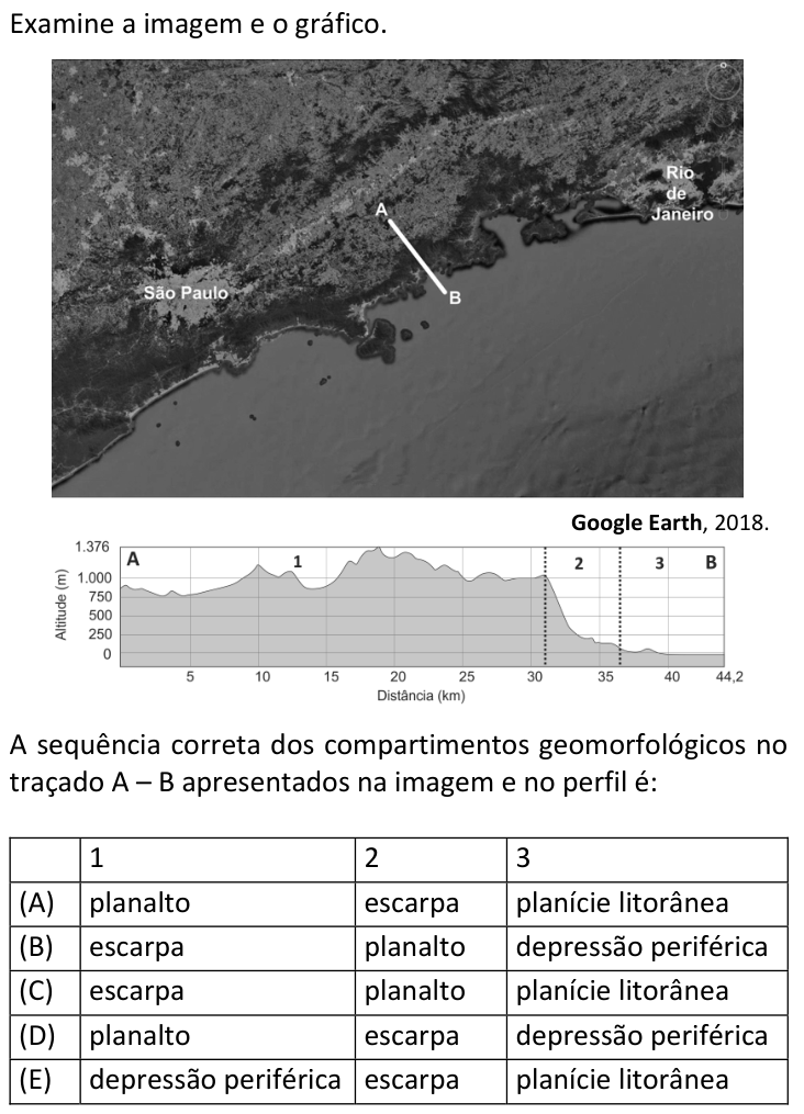 Questão 11 no caderno  da FUVEST 2019
